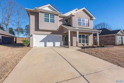 121 River Springs Court, New Market, AL 35761