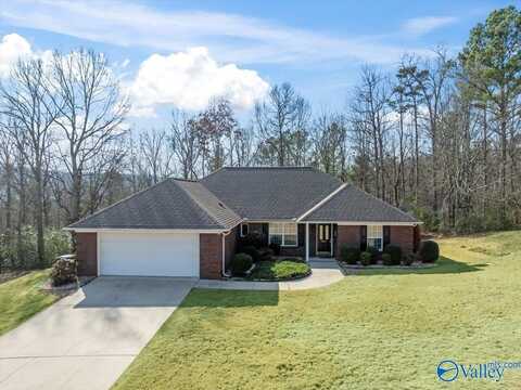 3041 Waterfront Street, Guntersville, AL 35976