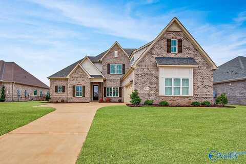 324 Anna Dora Way, Meridianville, AL 35759