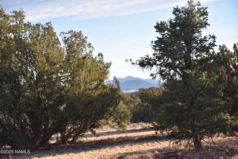 9075 Bird Dog Circle, Williams, AZ 86046