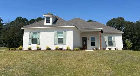 316 Dowsett Ave, Oxford, MS 38655