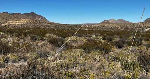 24424 Fellers Road, Terlingua, TX 79852