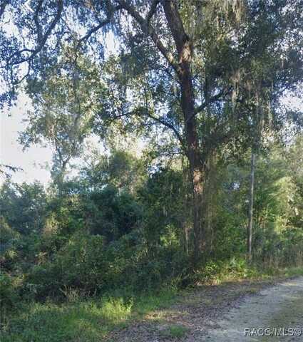 Lot 60 & 61 Barth Drive, Dade City, FL 33523