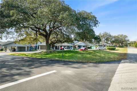 690 E Gilchrist Court, Hernando, FL 34442