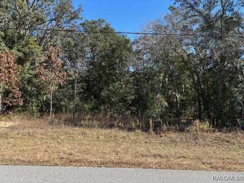 525 N Fresno Avenue, Hernando, FL 34442