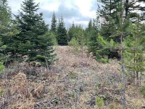 Lot 4,C Evergreen Rd, Ione, WA 99139