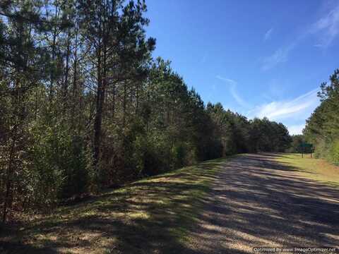 610 Mt.Zion Road, Wesson, MS 39191