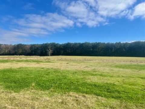 0 Dalton Lane SW, Smithdale, MS 39664