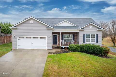 114 Walkers Bend Road, Gray, TN 37615