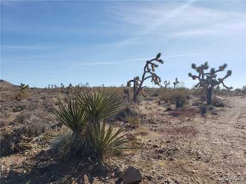 7 Lots- 8139 Santa Cruz, White Hills, AZ 86445