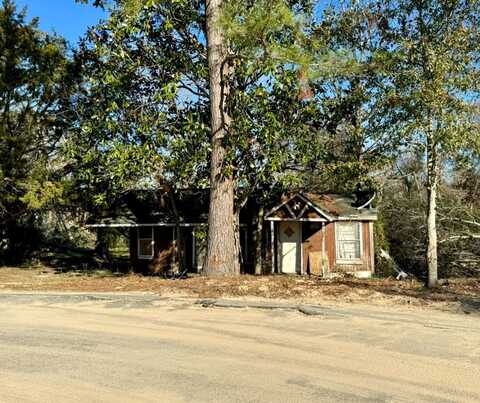 259 South Lexington Street, Lyons, GA 30436