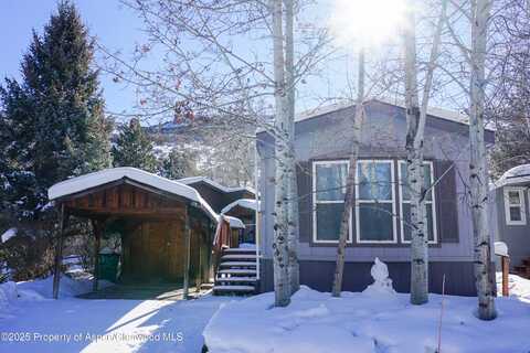 91 WILDCAT, Aspen, CO 81611