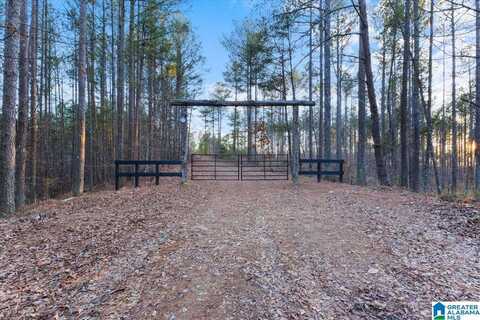 00 SMITH ROAD, ONEONTA, AL 35121