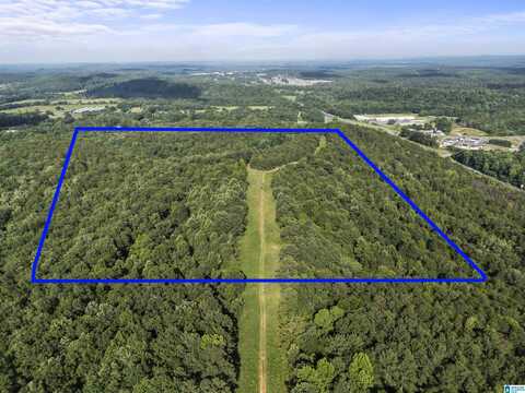 0 PINERIDGE ROAD, PELL CITY, AL 35125