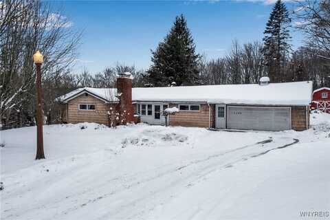 12298 Townsend Road, Concord, NY 14141