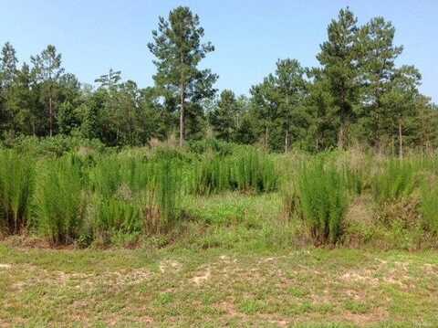 Lot 45 HARBOR DR, Andalusia, AL 36421