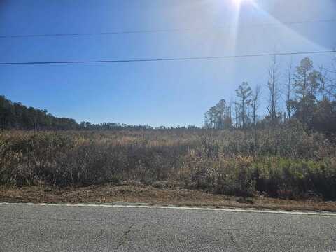 27ac Highway 541, Olanta, SC 29114