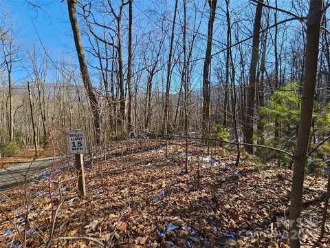 Libbies Lane unit: 6, Waynesville, NC 28786