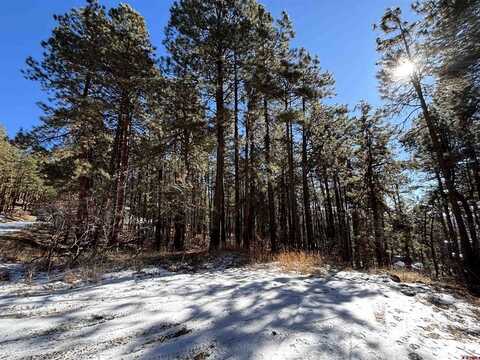 228 Timber Drive, Bayfield, CO 81122