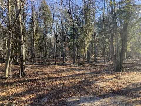 Tbd Gunnlaugsson Dr, Washington Island, WI 54246