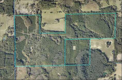 Xxx Bear Bay Flats Road, Laurel Hill, FL 32567