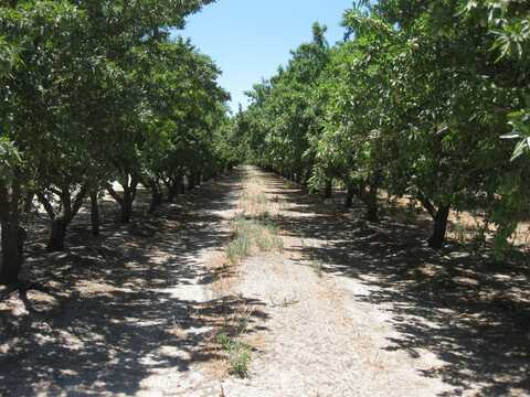 99999 Elm St N, Pixley, CA 93256