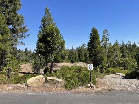 14 Fawn Lilly Lane, Shaver Lake, CA 93664