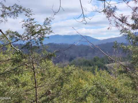 40 Manning Hollow Rd Road, Sevierville, TN 37876