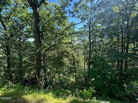 Lot 1r Overholt Trail, Sevierville, TN 37862