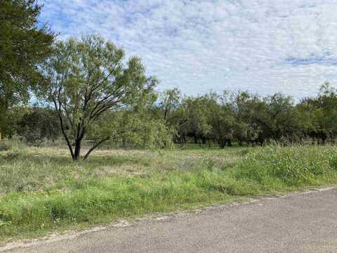 Tbd Birch Lane, Cottonwood Shores, TX 78657