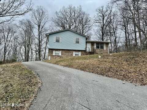 450 FOREST HILLS Drive, New Tazewell, TN 37825