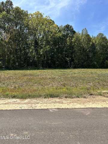 2 Pebble View Drive, Byhalia, MS 38611