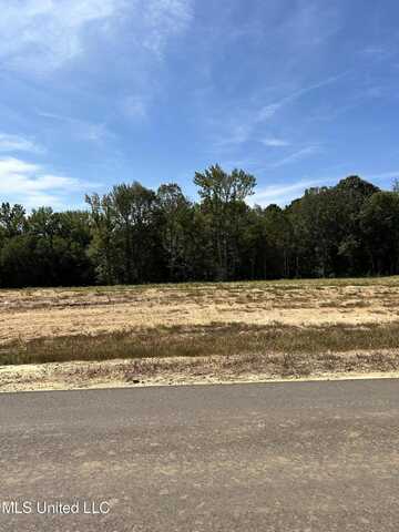 9 Pebble View Drive, Byhalia, MS 38611