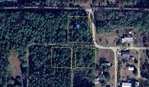 220 GRACE DRIVE, DEFUNIAK SPRINGS, FL 32433