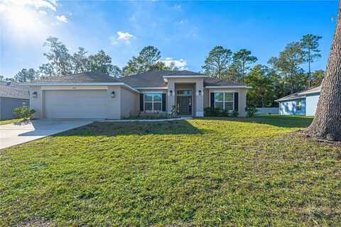 3914 NE 58TH CIRCLE, SILVER SPRINGS, FL 34488