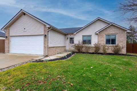 20910 Elm Forest, Clinton Township, MI 48035