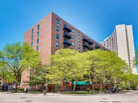 3900 N PINE GROVE Avenue, Chicago, IL 60613