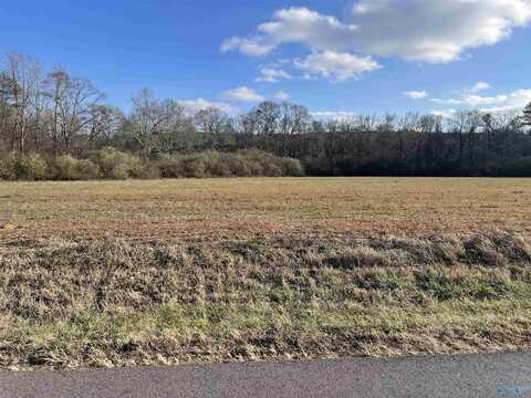 34.2 Acres Blessing Road, Boaz, AL 35957