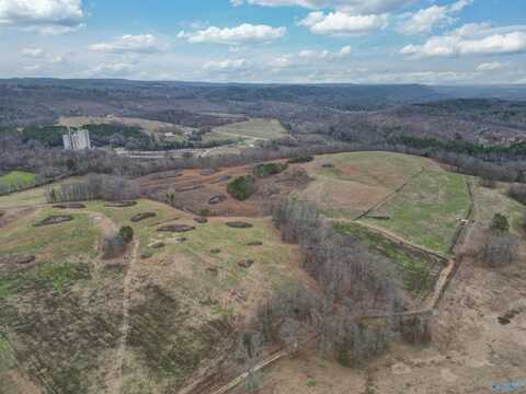 189 Acres Carnes Chapel Road, Attalla, AL 35954