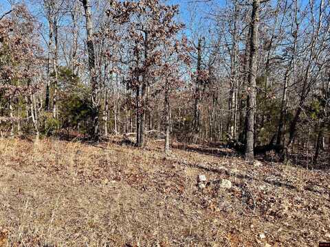 Lot 2 GRAND OAK ROAD, Lakeview, AR 72642