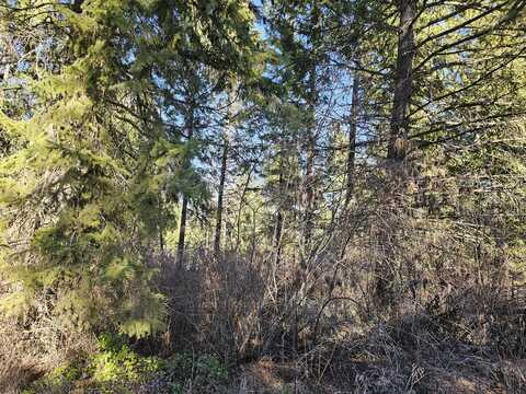 3378 H HILL LOOP RD, KETTLE FALLS, WA 99141