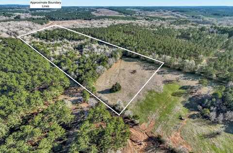 27 acres CR 829, Nacogdoches, TX 75943