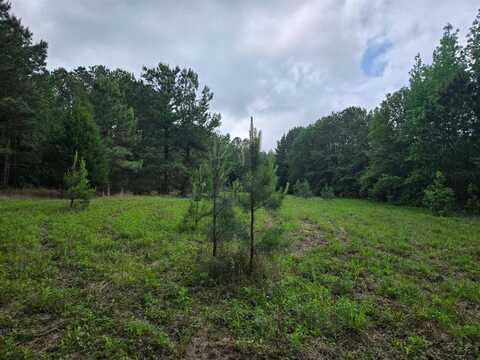 500 Uren Lee Road, Overton, TX 75684