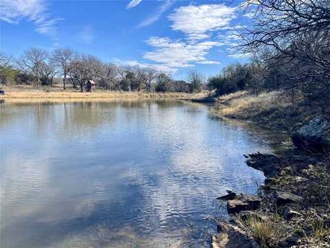 130 New Hope Lane, Palo Pinto, TX 76484