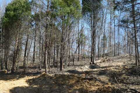 00000 Sawmill Rd, English, IN 47118