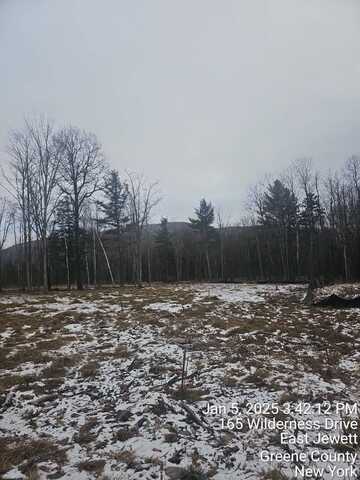 165 Wilderness Rd. East Jewett, N.Y. 12424, East Jewett, NY 12424