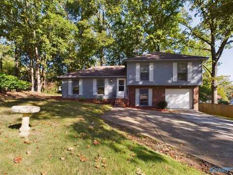 703 Shirley Court, HUNTSVILLE, AL 35803