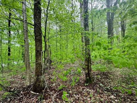 1.12 Prince Brook Road, Osceola, NY 13437