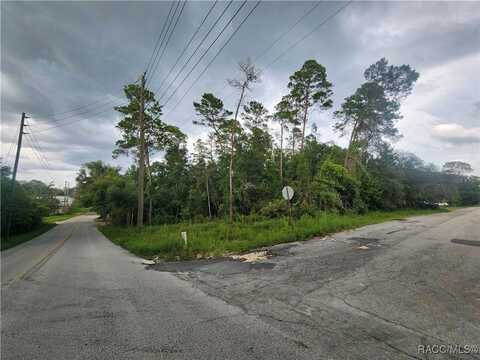 3006 & 3008 Clearwood Street, Inverness, FL 34452