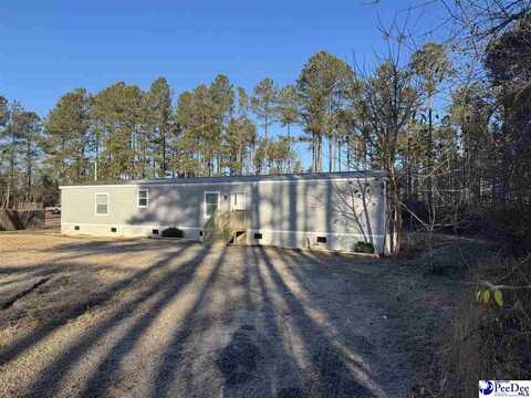 313 Old Wire Road E., Bennettsville, SC 29512